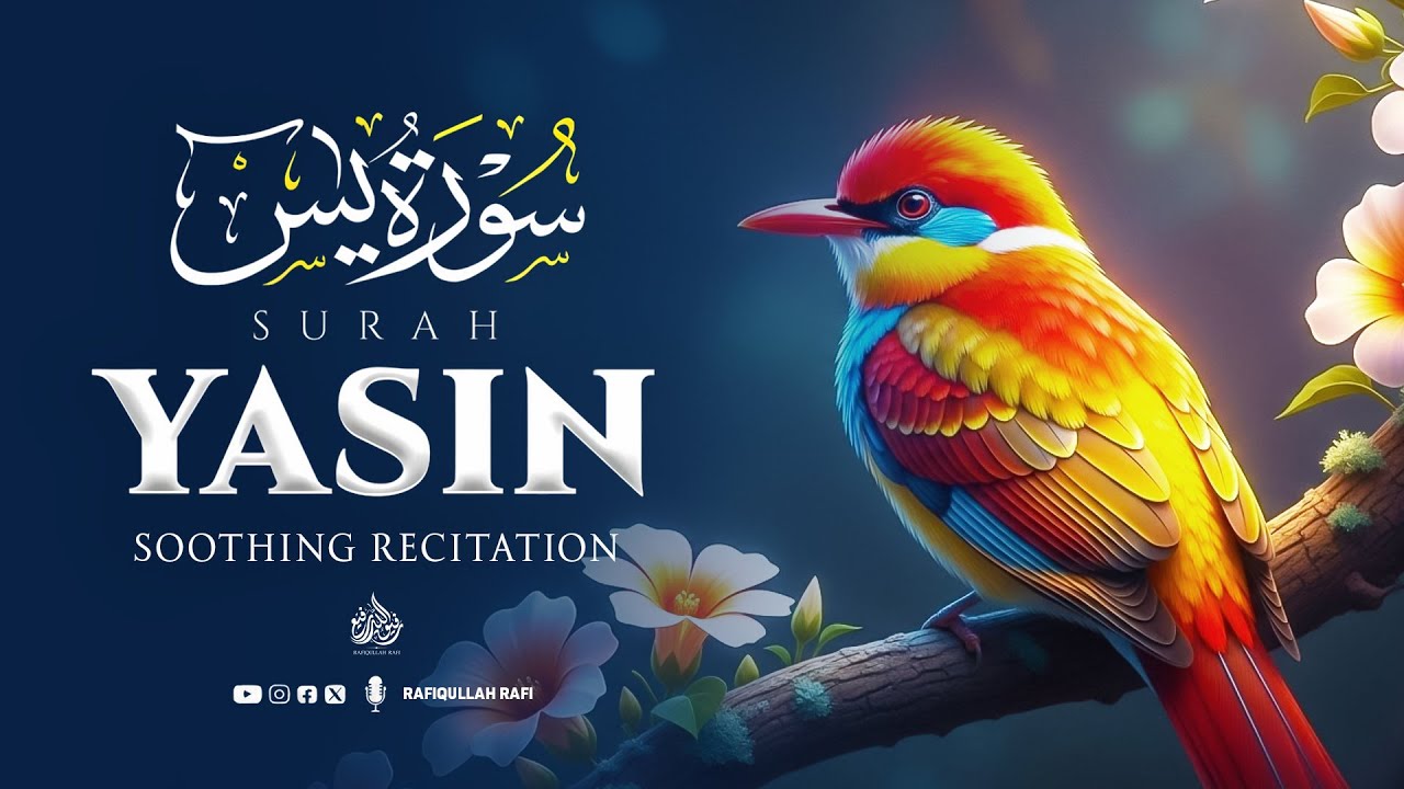 Surah Yaseen (Yasin) سورة يس | Deeply Relaxing Quran for Inner Healing #surahyasinfull