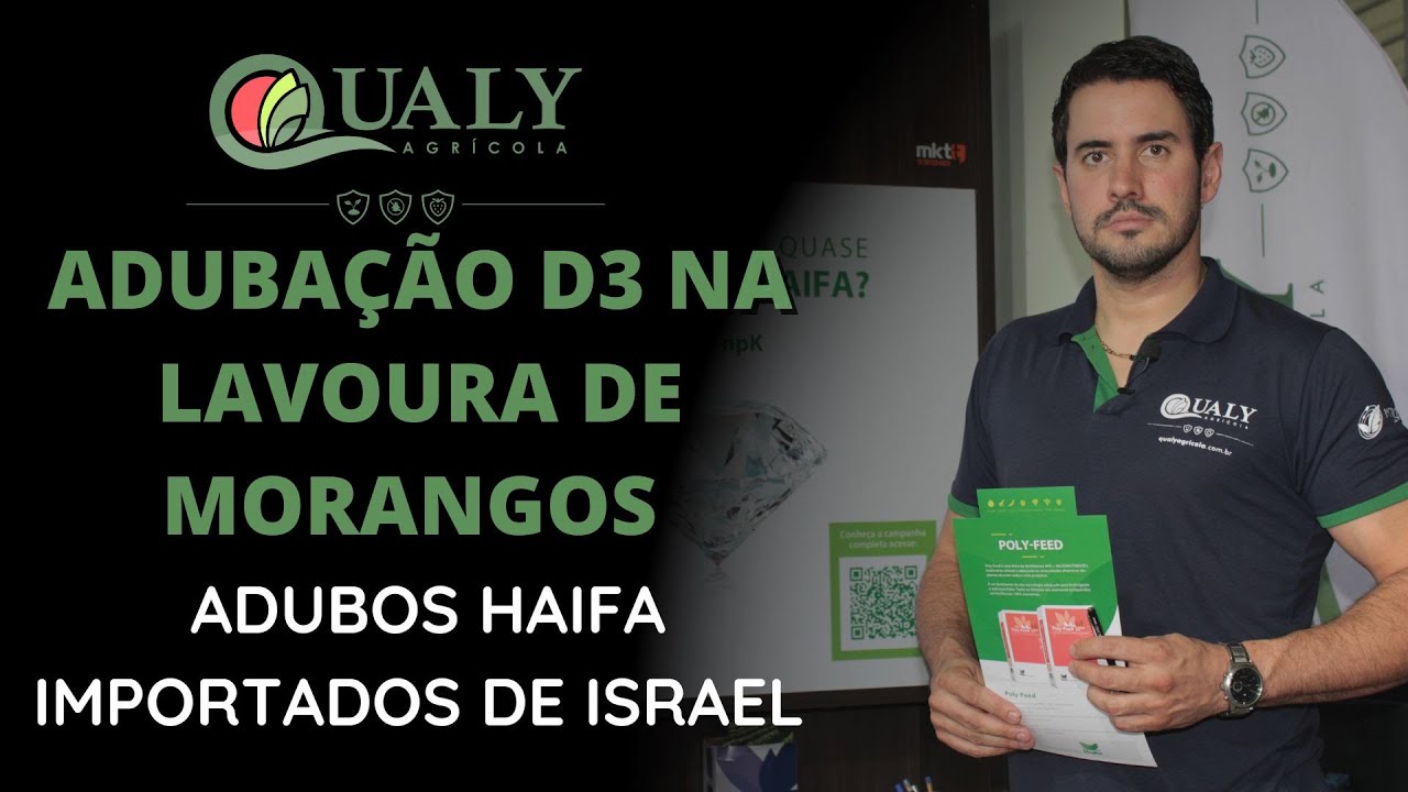 ADUBAÇÃO D3 NA LAVOURA DE MORANGOS / ADUBOS HAIFA IMPORTADOS DE ISRAEL - QUALY AGRÍCOLA