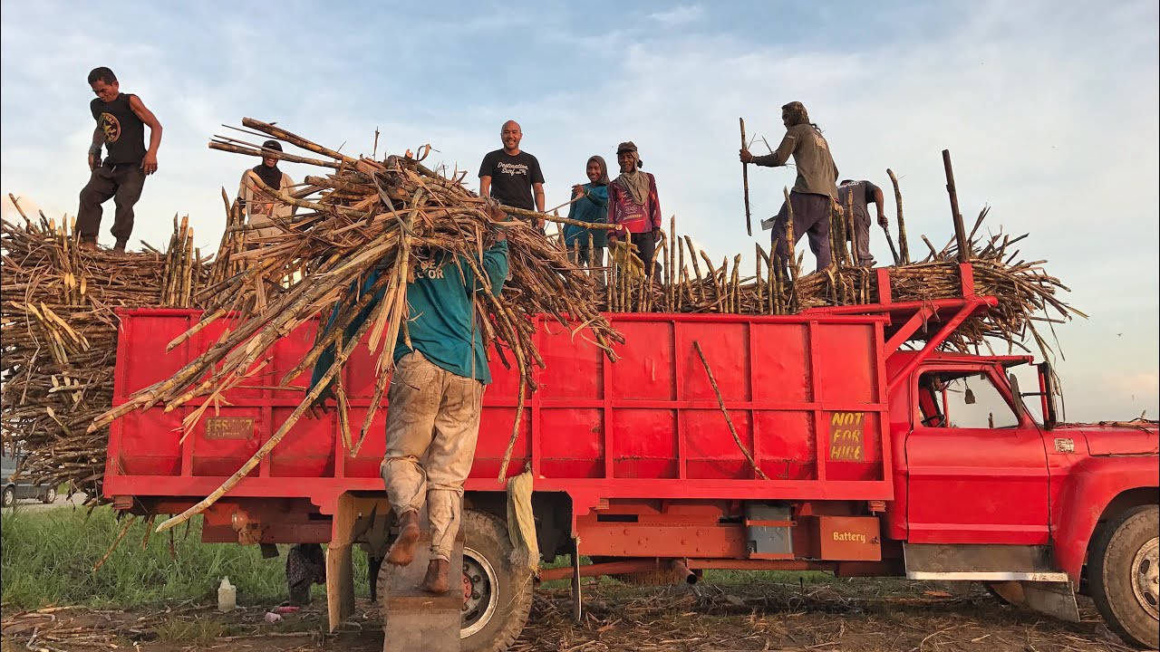 Hungry with Chef JP Negros (Bacolod) Episode 2