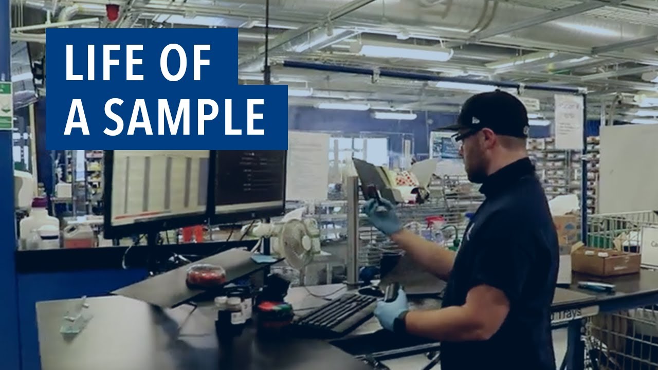 Life of a Sample