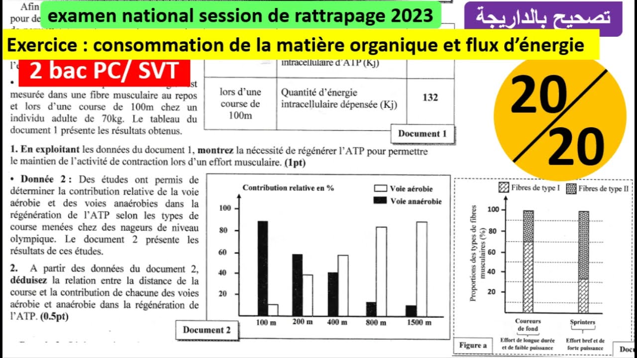 examen national svt 2bac PC/SVT rattrapage 2023  exercice : Unité 1(ATP et Muscle) (تصحيح بالداريجة)