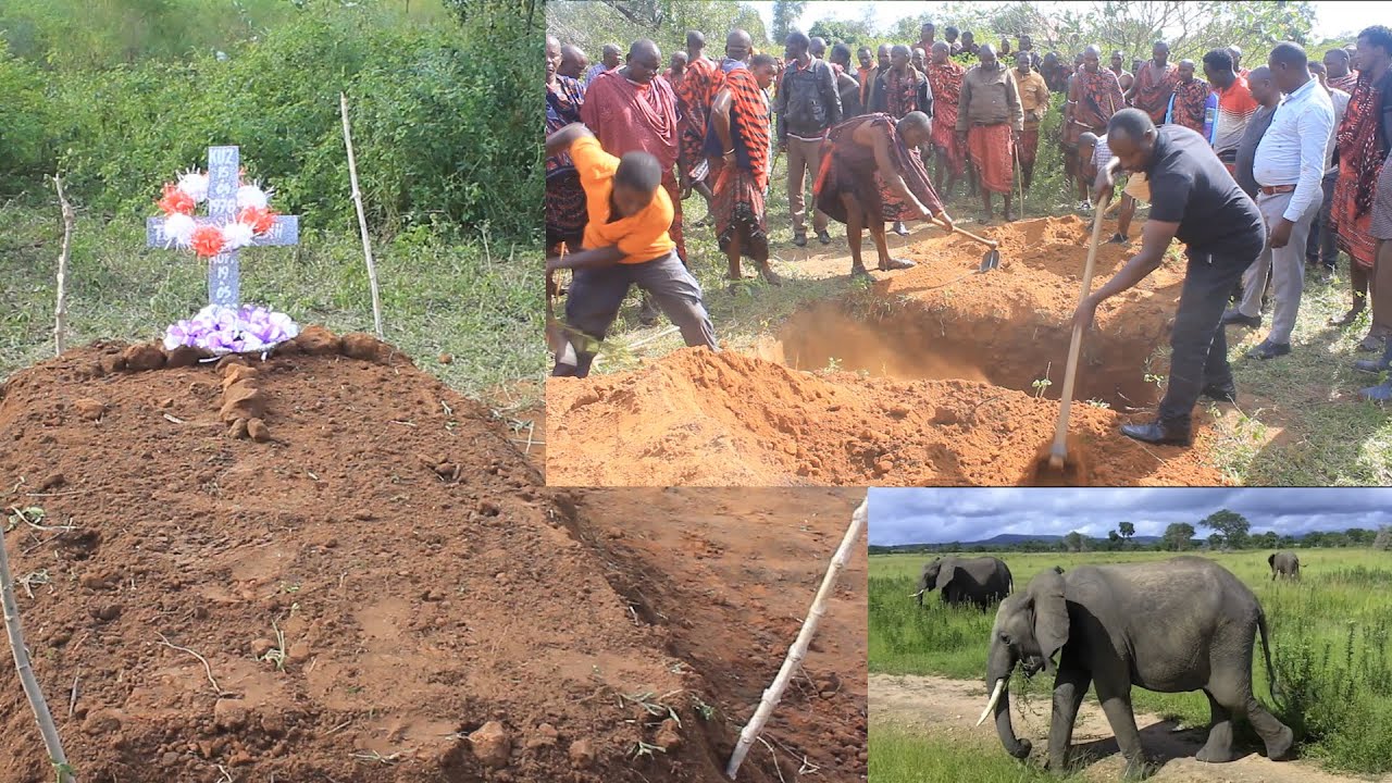 HUZUNI: MFUGAJI AUAWA KIKATILI NA TEMBO MVOMERO, VILIO VYATAWALA, 