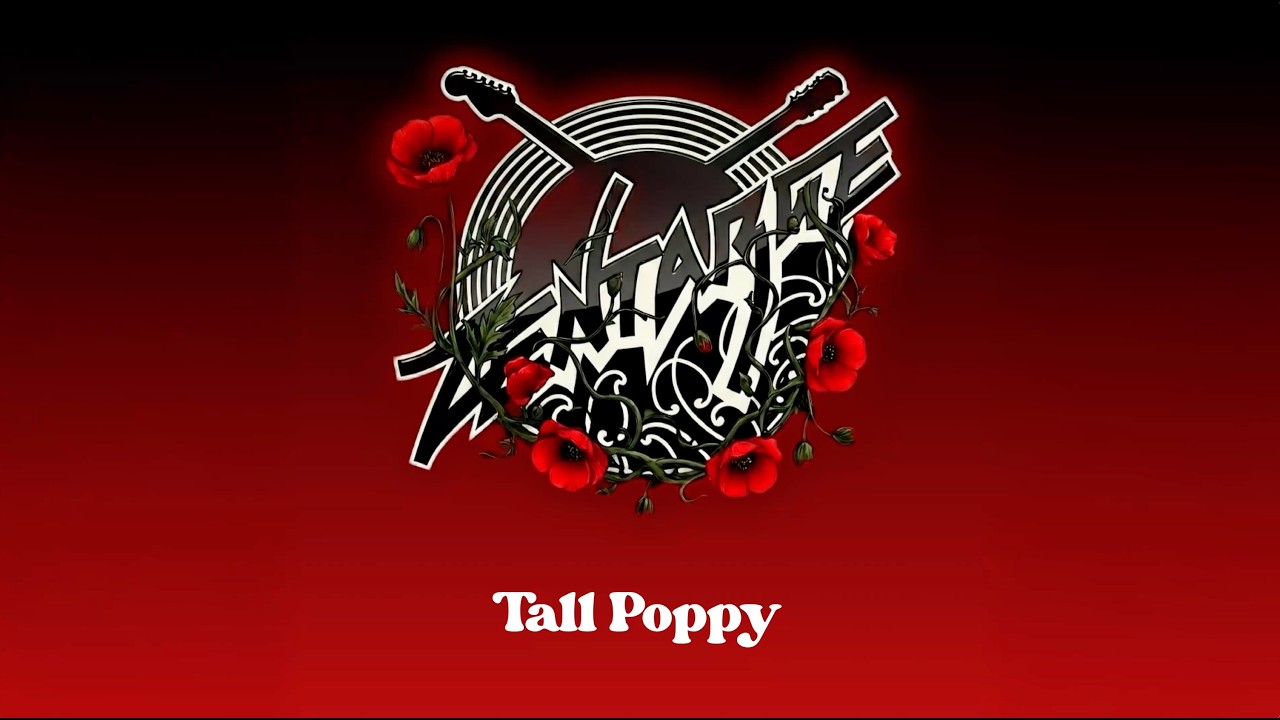 Zentarge - Tall Poppy (Audio)
