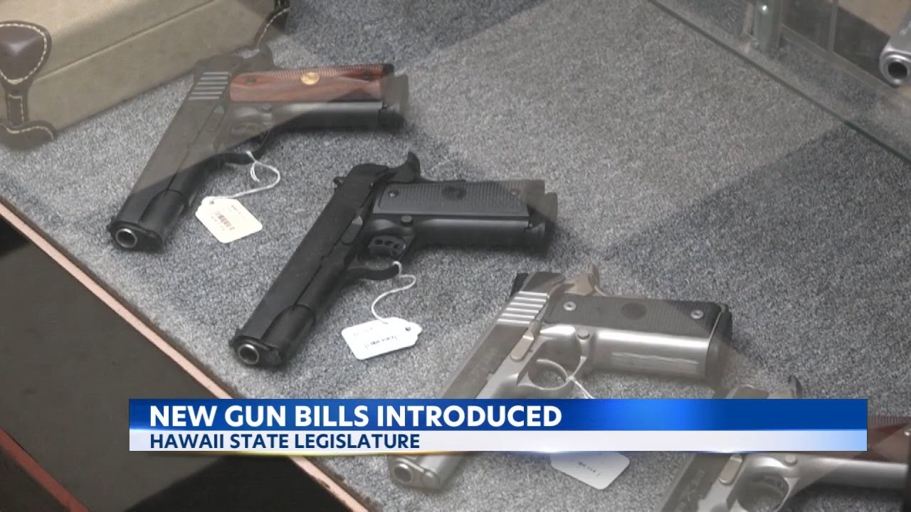 Hawaii lawmakers to consider placard program for firearms