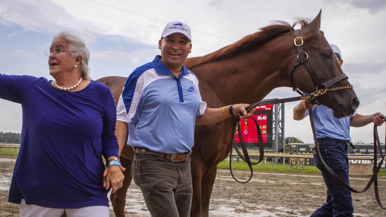 Legendary One-Season Wonders in Horse Racing History