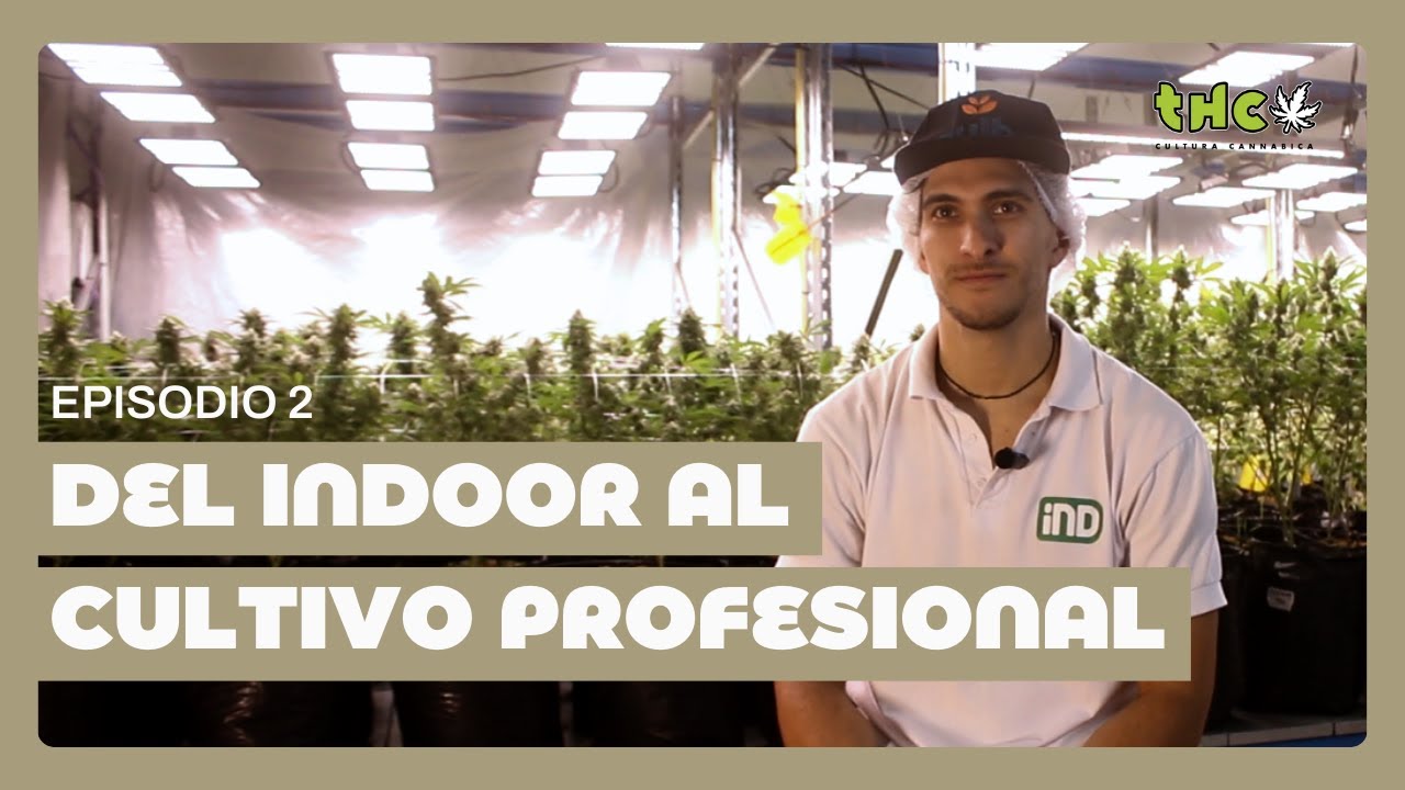 CULTIVADORES - EPISODIO 2 | Cris Roots: Del indoor al cultivo profesional