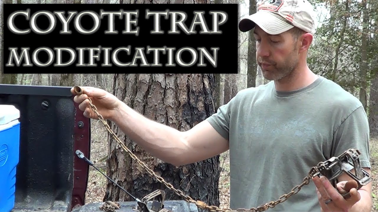 Coyote Trap Modifications