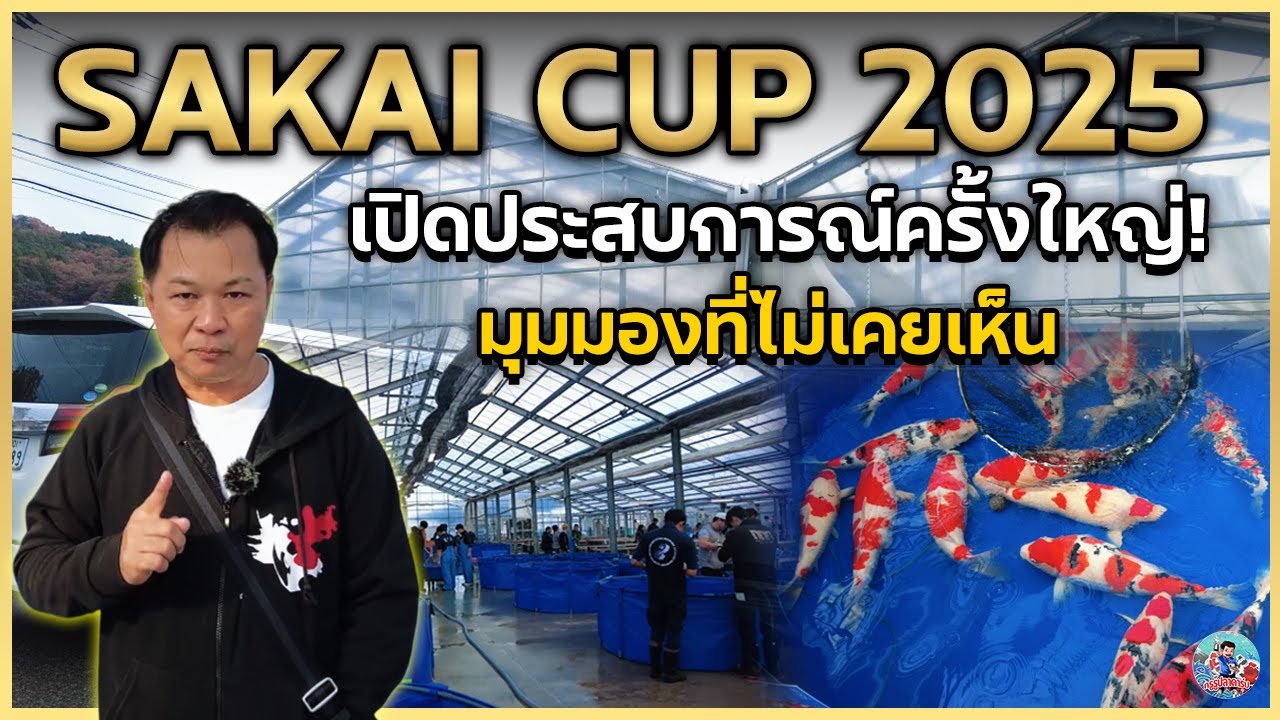 ไปญี่ปุ่นดูแข่งขันปลาคาร์ประดับตำนาน! Sakai Cup 2025