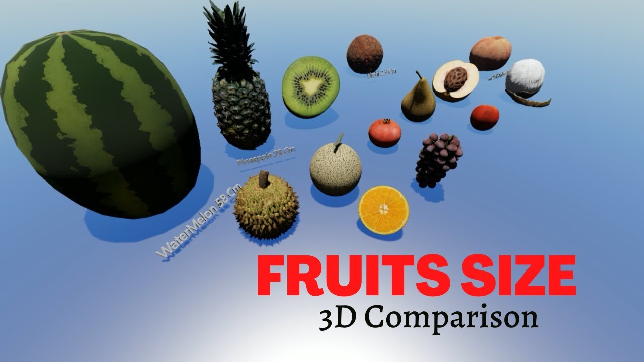 Fruits Size Comparison 3D 🍊🍋🥝
