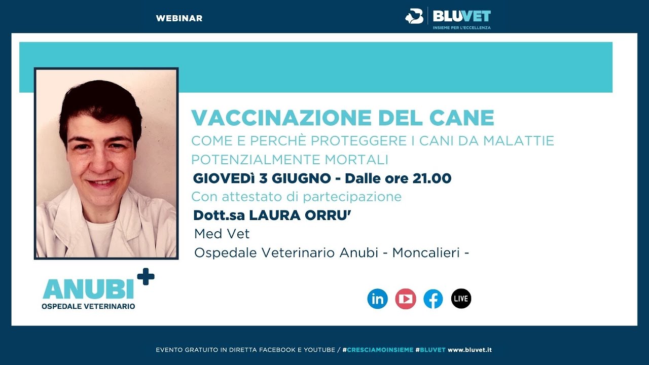 Vaccinazione del #cane - GUIDA UTILE #bluvet
