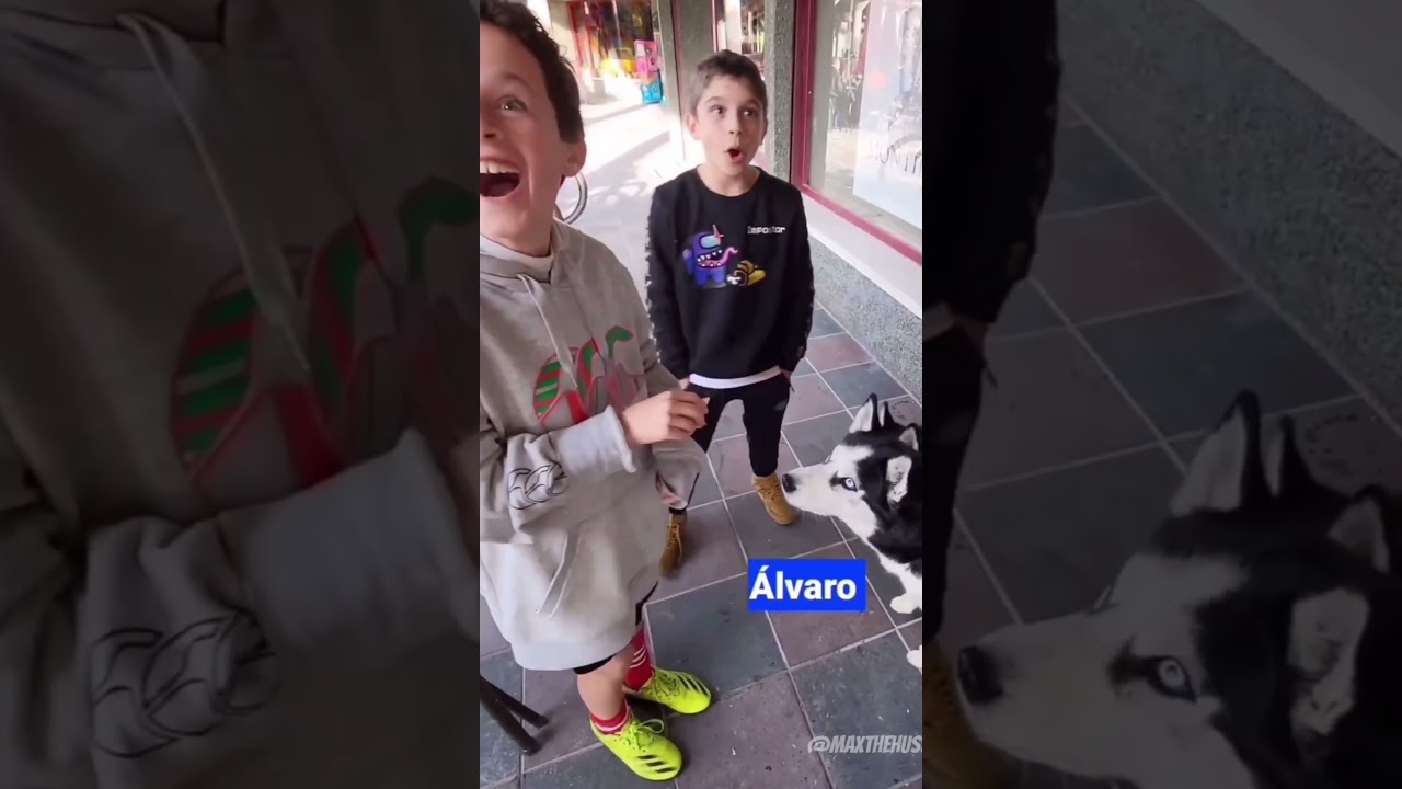 VIRAL: LOS PERROS HABLAN &iexcl;Aqu&iacute; una prueba!