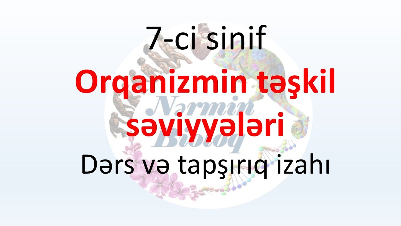 Biologiya 7-ci sinif Orqanizmin təşkil səviyyələri Dərs və tapşırıq izahı