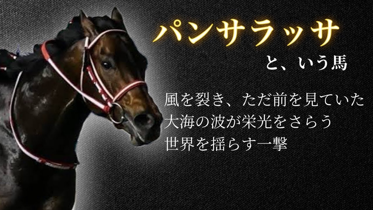 【世界の逃亡者】パンサラッサ🐎