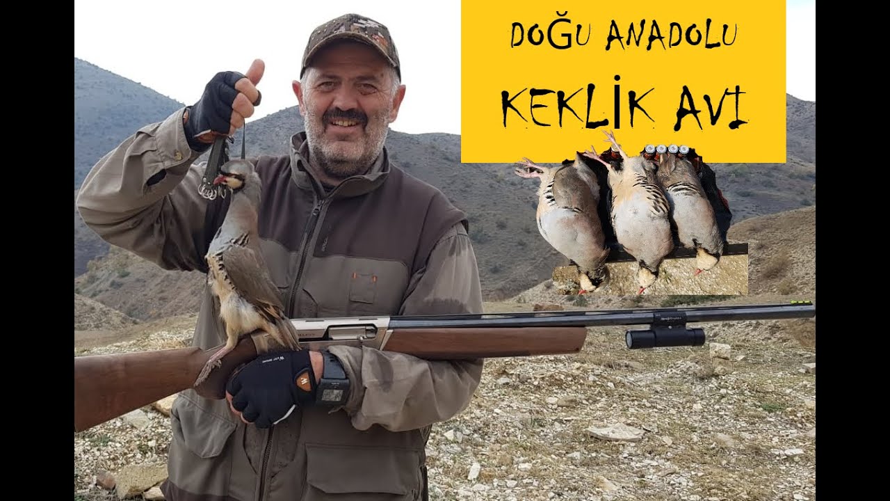 KEKLİK AVI , DOĞU ANADOLU , 2021 , partridge hunt ,مطاردة الحجل, охота на куропатку / SHOTKAM