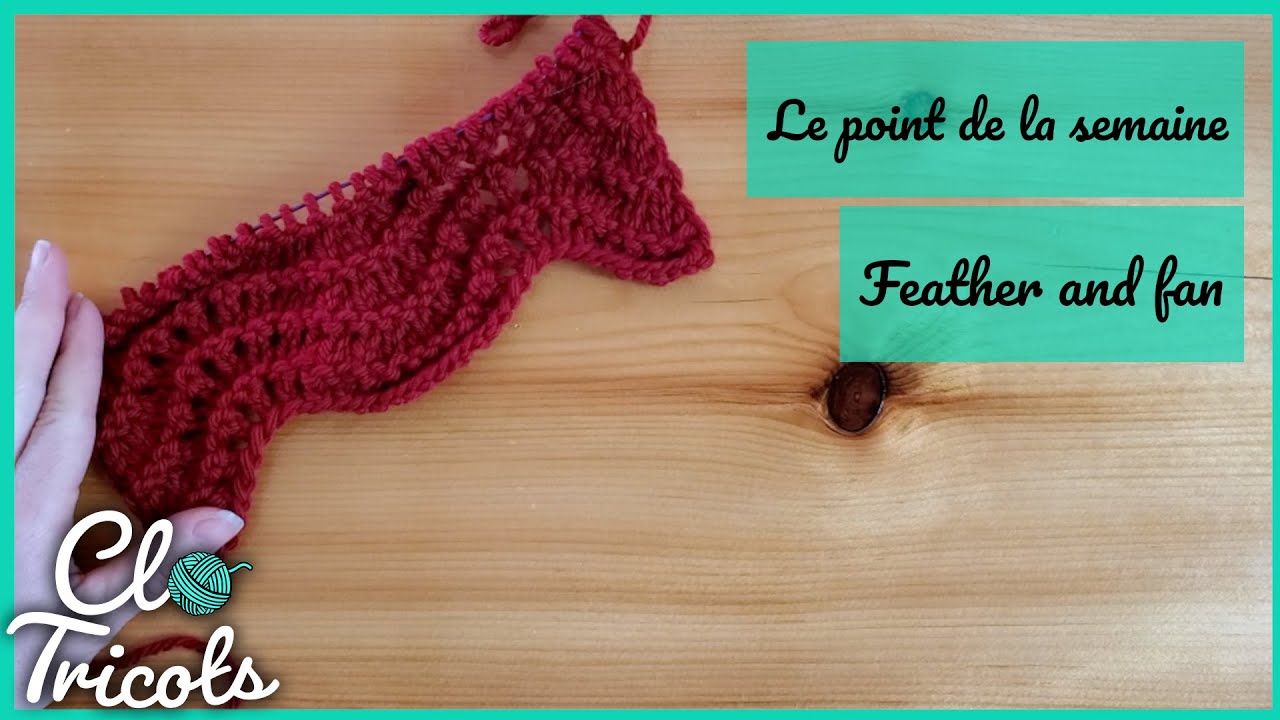 Tutoriel Tricot - Le point de la semaine - #8 Plume et Éventail (Feather and Fan)