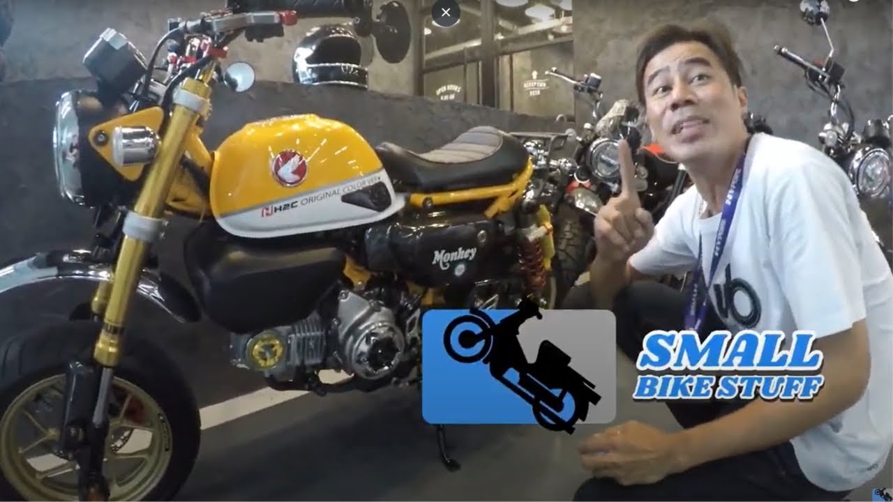 RIDING A MONKEY IN BANGKOK!