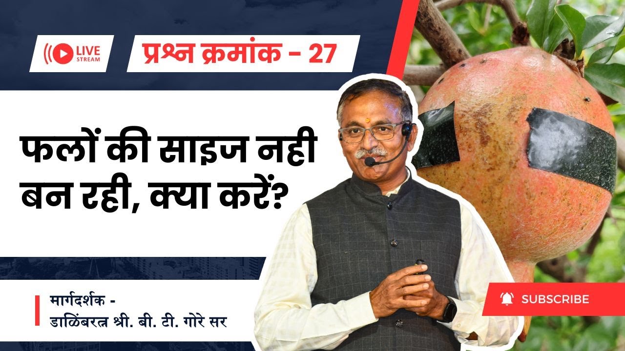 प्रश्न क्रमांक 27 - फलों की साइज नही बन रही, क्या करें? @BTGore