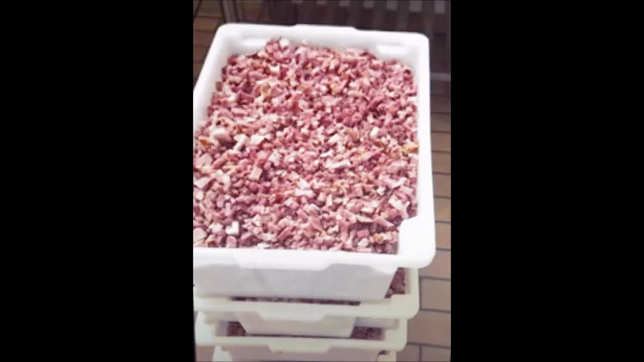 Cubetando Retalho de Bacon (B100)
