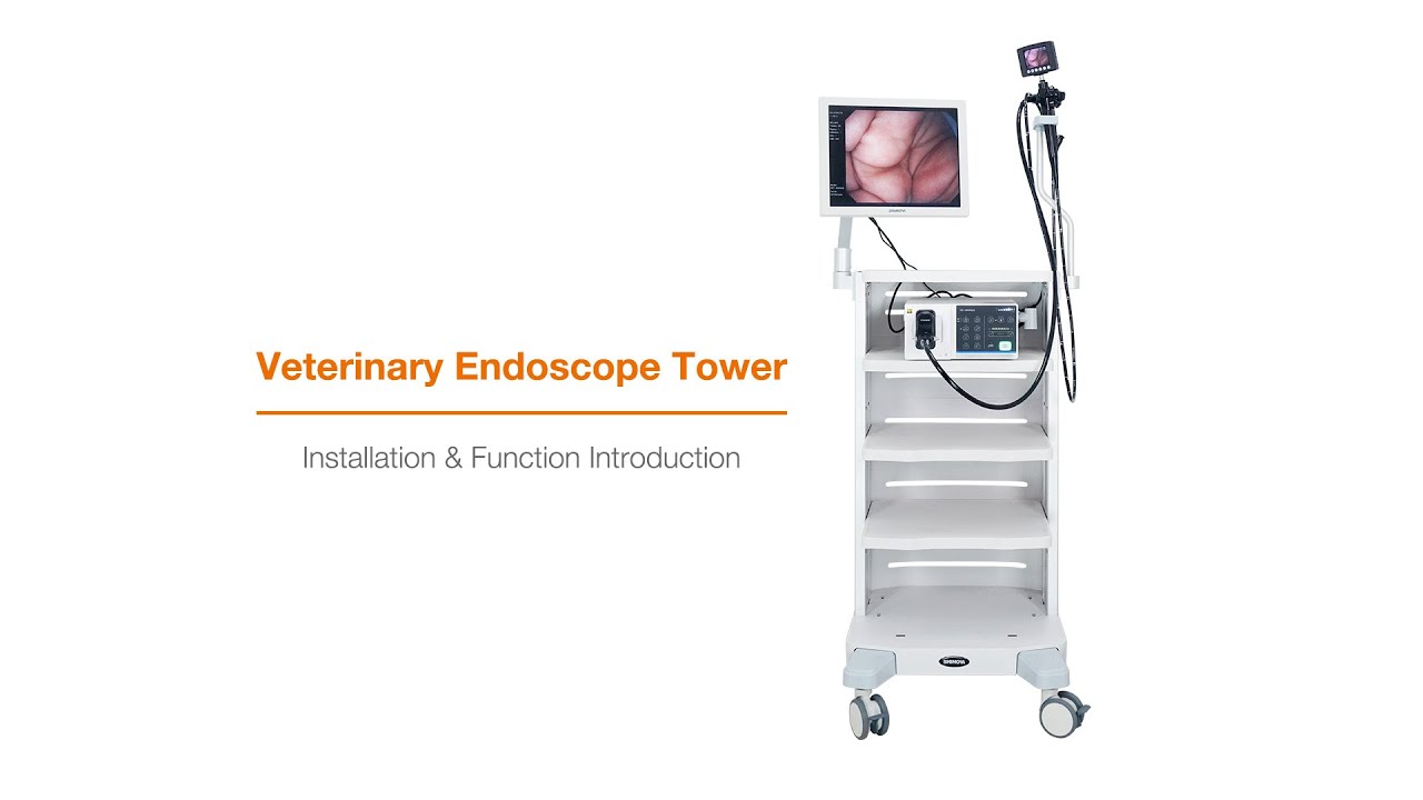Shinova Veterinary - HD Endoscope Installation & Function Introduction(Colonix 98V & VIS-1200HD(Li))