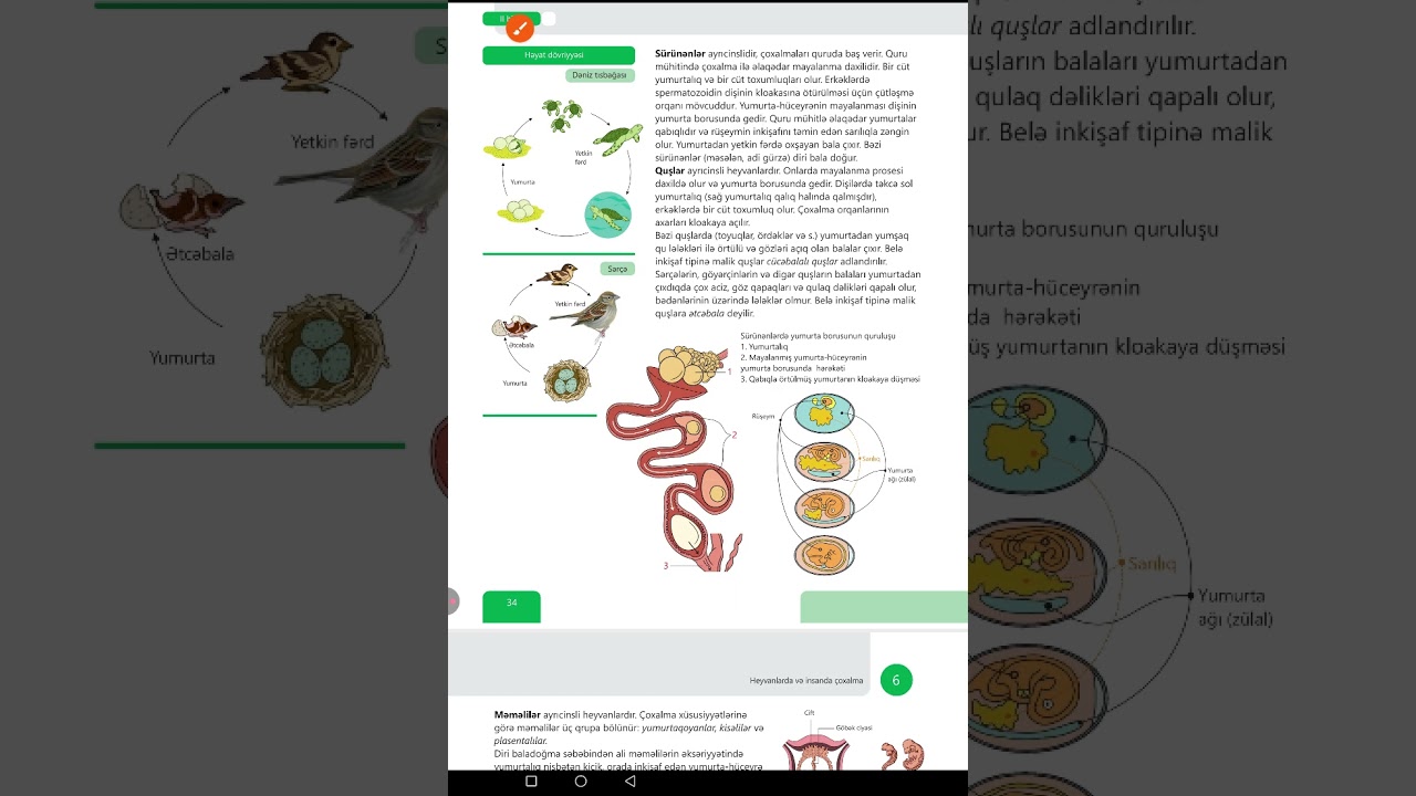 Onurğalı heyvanların həyat dövriyyəsi. 8- ci sinif yeni dərslik