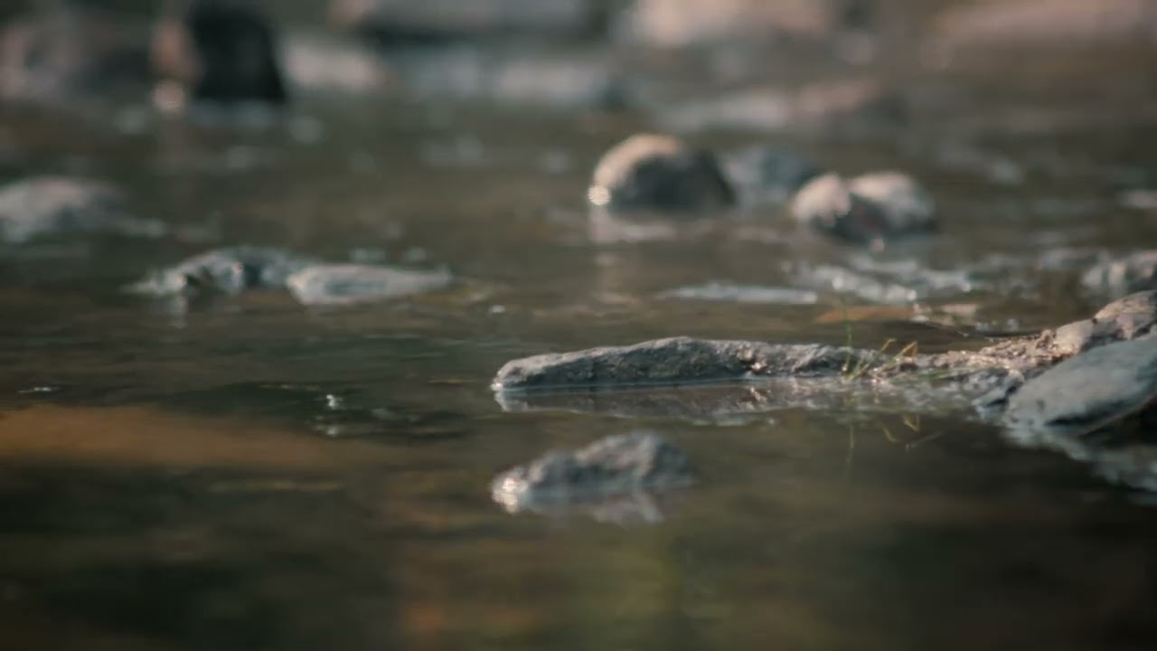 4k - Low level video of a river with rocks