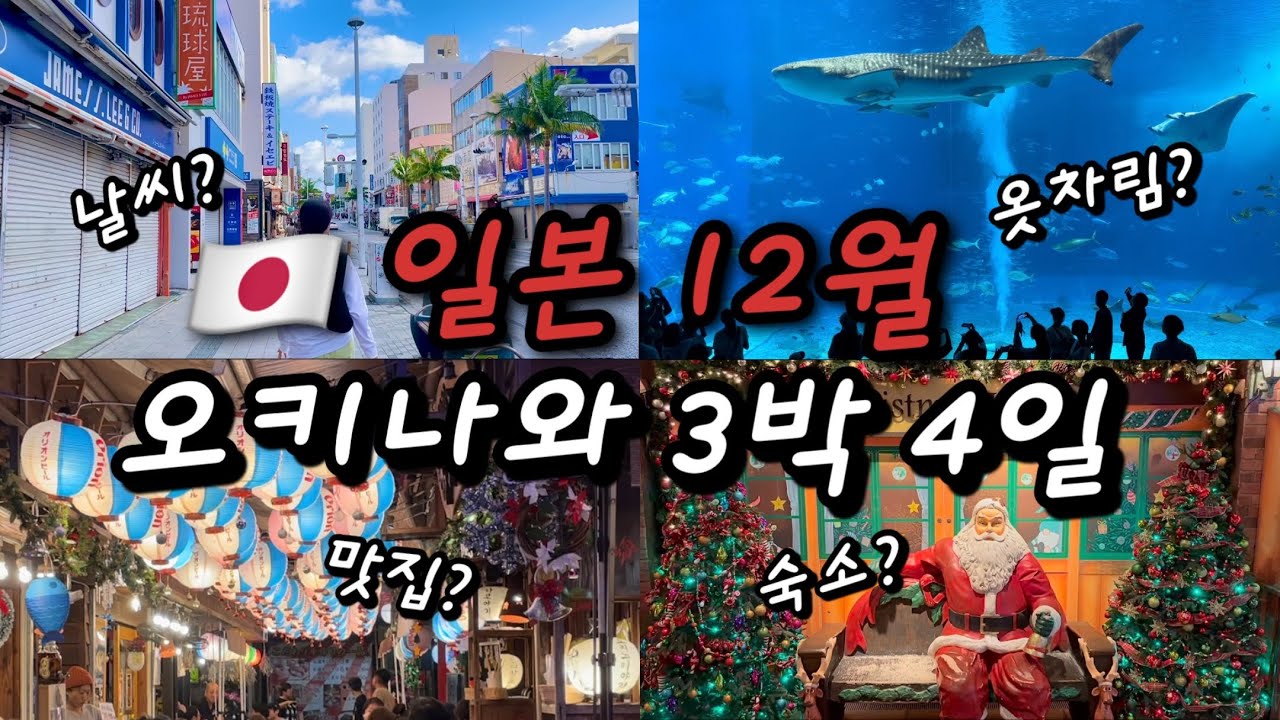🇯🇵겨울에 떠나는 오키나와 3박4일 총정리 | 에어비엔비추천, 렌트카, 츄라우미수족관, 아메리칸빌리지, 국제거리 맛집+이자카야추천, 88스테이크, A&W버거, 돈키호테 추천템