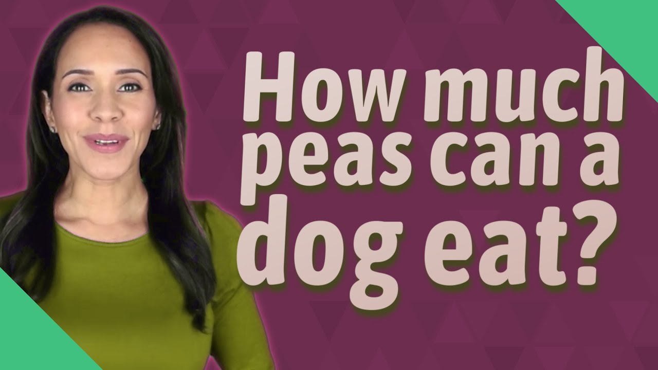 How much peas can a dog eat?