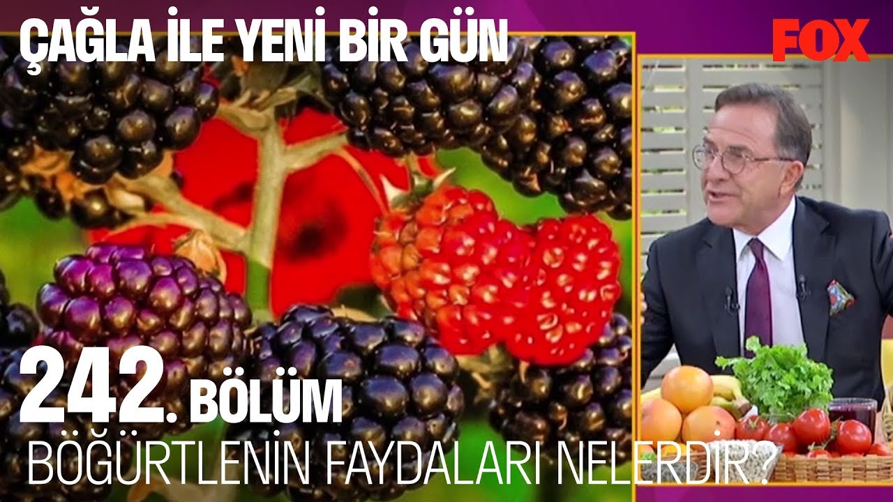 B&ouml;ğ&uuml;rtlenin faydaları nelerdir? &Ccedil;ağla ile Yeni Bir G&uuml;n 242. B&ouml;l&uuml;m
