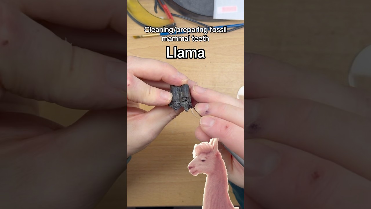 It's been a slow news week, so enjoy a prep video. 