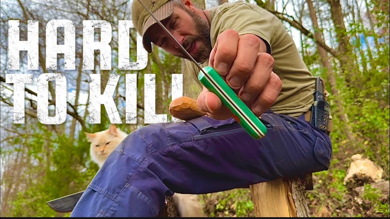 Hard to Kill: SURVIVAL HABITS You Need to Learn! #survivalessentials
