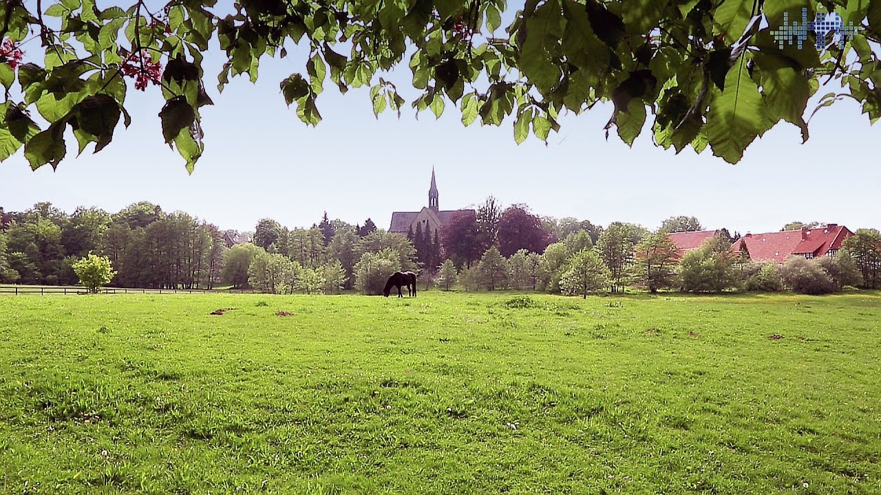 850 Jahre Kloster Loccum - die neu restaurierte Klosterkirche und Abt Horst Hirschler
