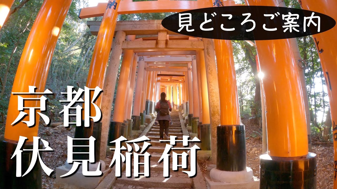 【Heppoko Climbing】 Киото Фусими Храм Инари Тайся