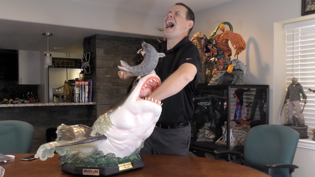 Infinity Studios Great White Shark (Carcharodon Carcharias) Statue Review