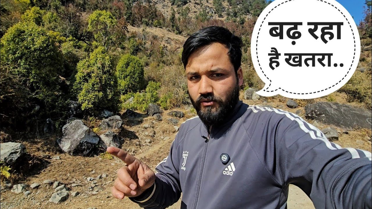 आंखिर पहाड़ों में बाग भालू का आतंक क्यो बढ़ रहा है || Pahadi Lifestyle || Kavi Rana
