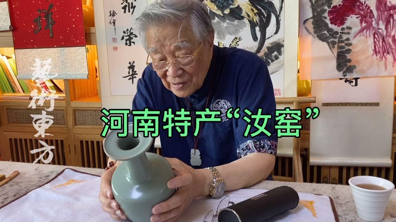 杨实老师工作室，汝窑盘口纸槌瓶#鑑寶#文物#鑑定