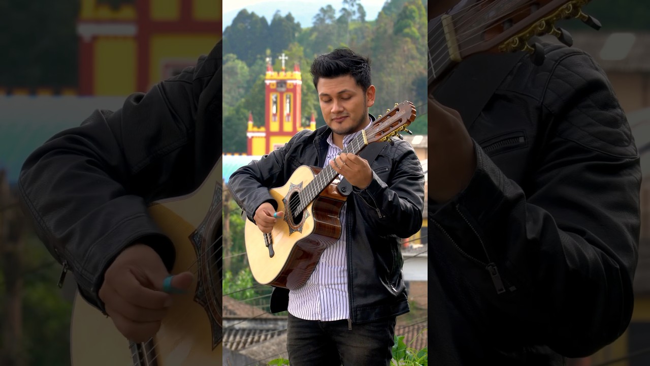 Contigo #lospanchos #requinto #bolero