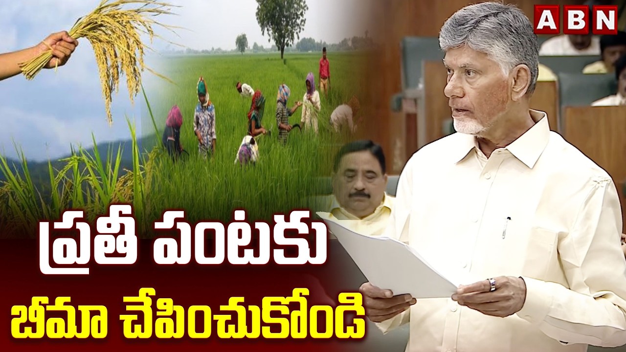 ప్రతీ పంటకు బీమా చేపించుకోండి | CM Chandrababu Suggestion To Farmers On Crop Insurance | ABN