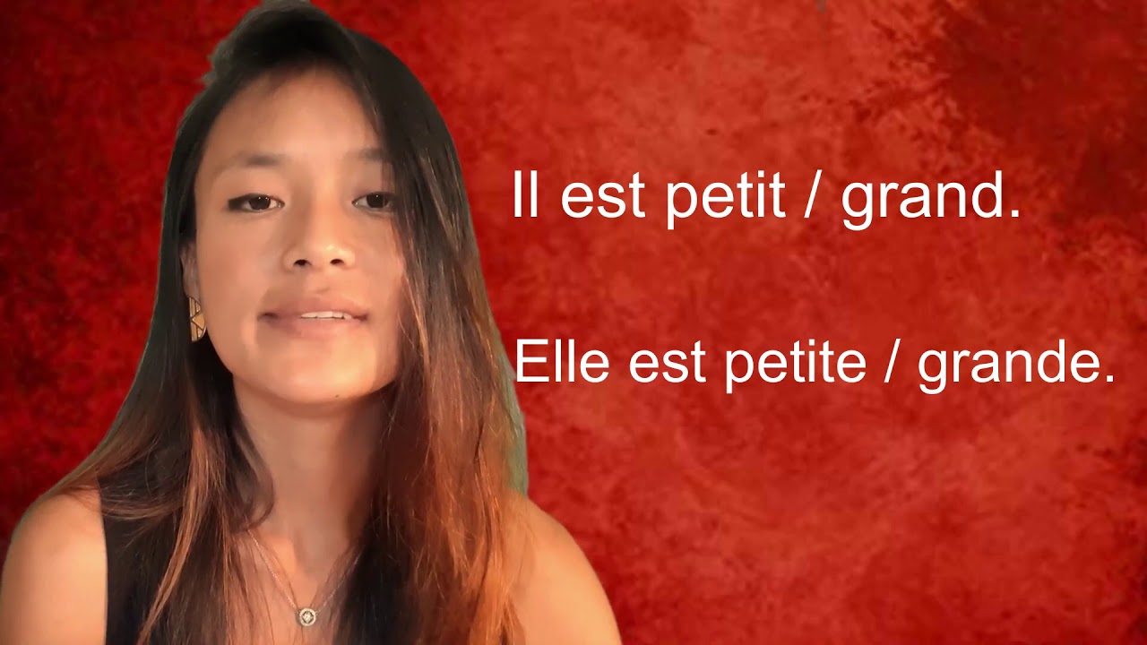 MASCULIN FÉMININ ADJECTIF