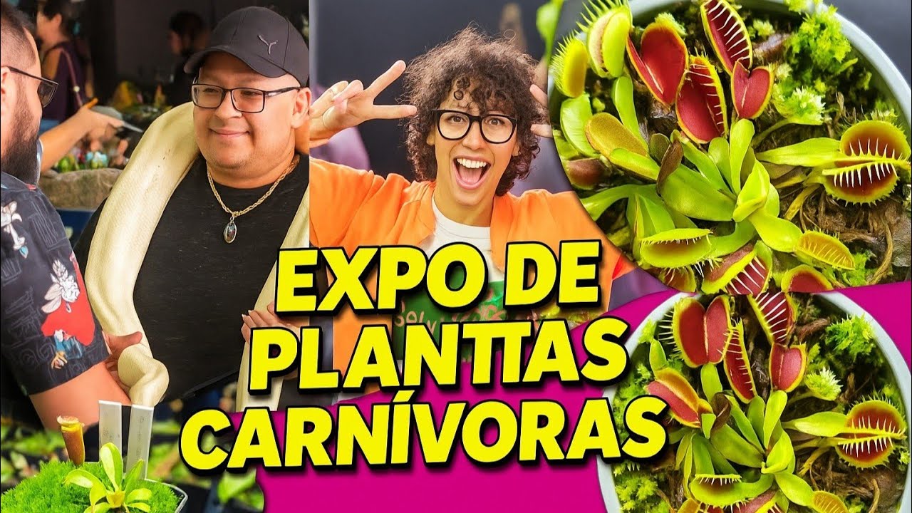 Asi fue la expo de Plantas Carnívoras #Carnifans #plantascarnivoras #carnivorousplants
