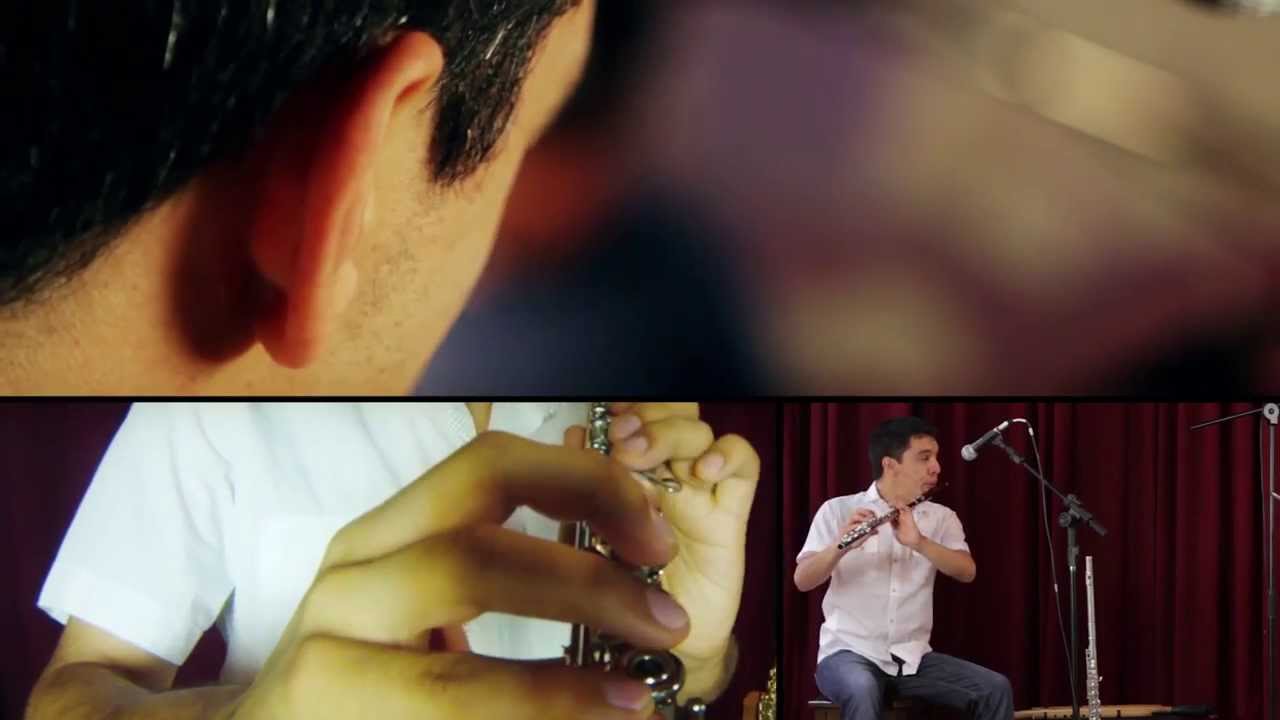 ¨ Pájaro Corsario ¨ por Embichadero (Diego Cortez - Jonatan Szer)
