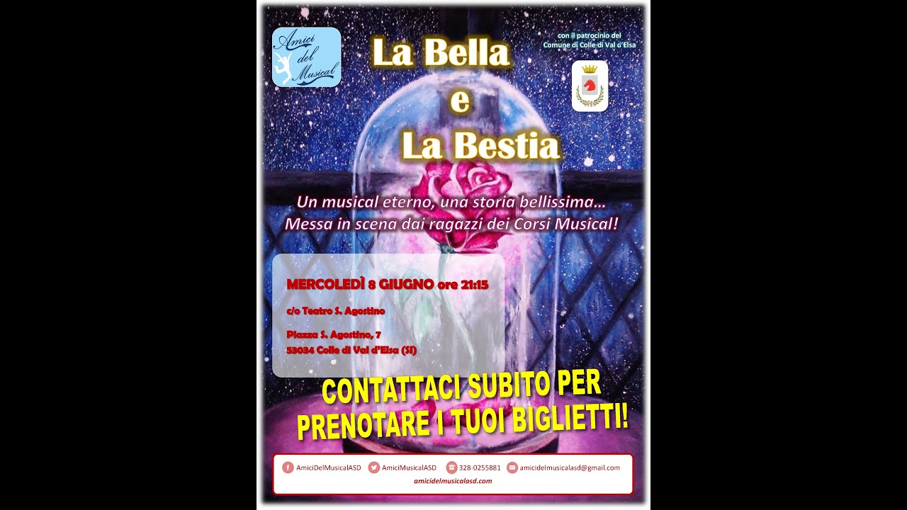 Amici del Musical - La bella e la bestia - prima parte