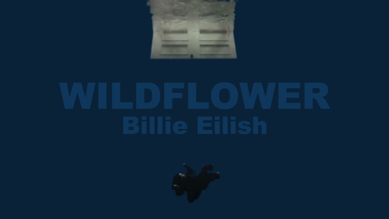 WILDFLOWER but you're in an empty arena