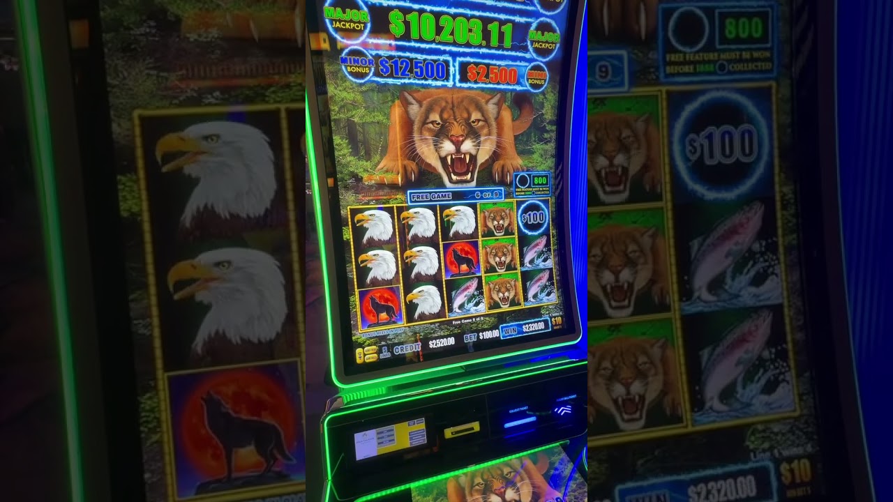 $100 Wild Cougar Bonus! #slots #casino #vegas