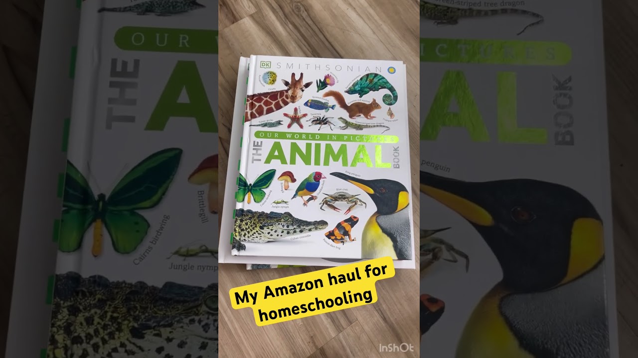 KINDERGARTEN HOMESCHOOL MUST-HAVES: Amazon Haul & Book Recommendations
