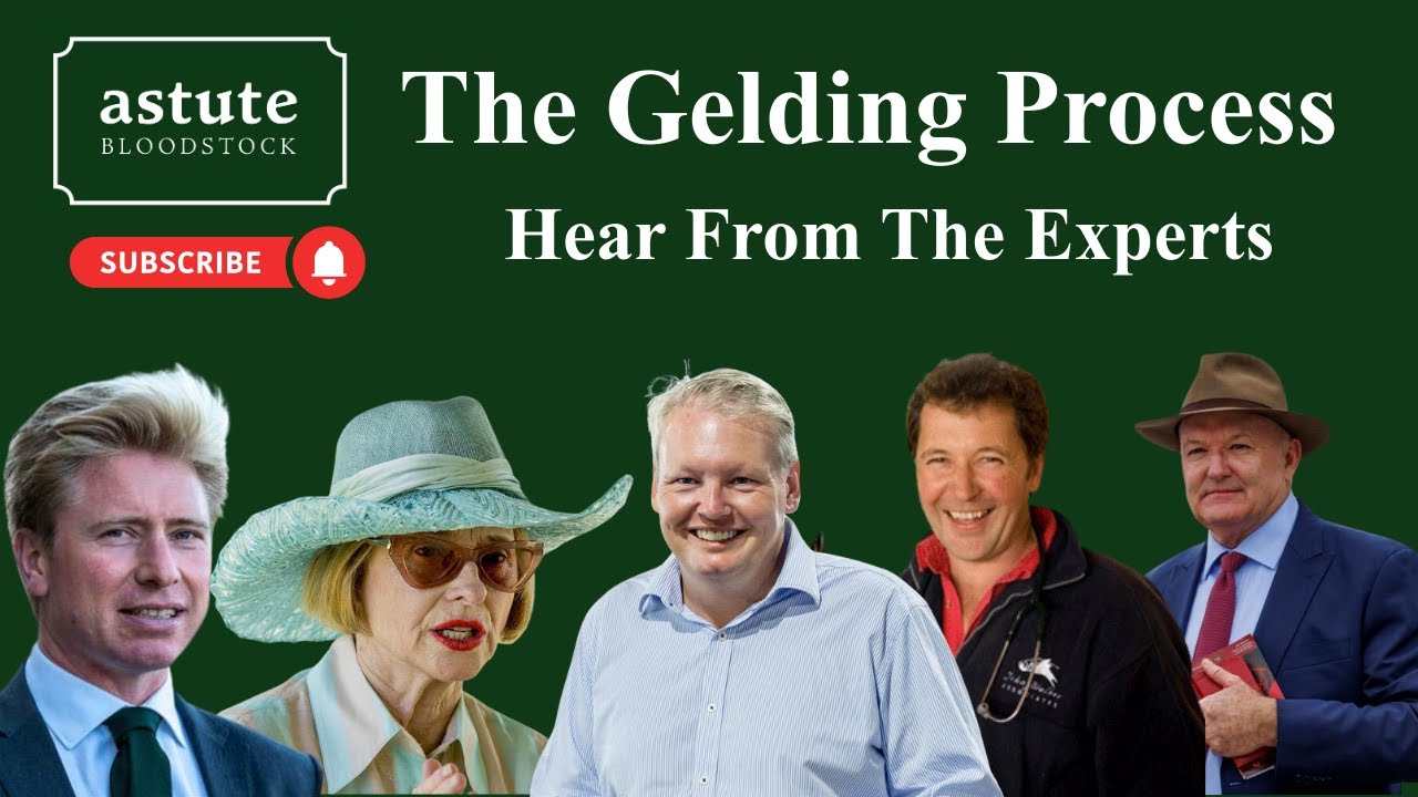 The Gelding Process