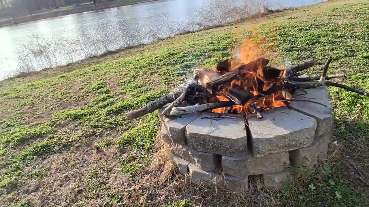 Late Winter by my Firepit 