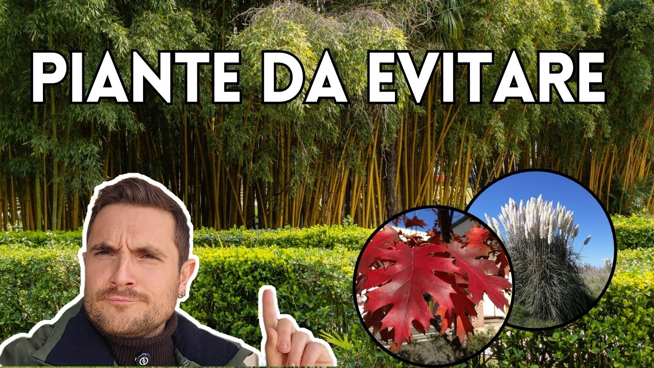 5 Piante che NON consiglio per il giardino