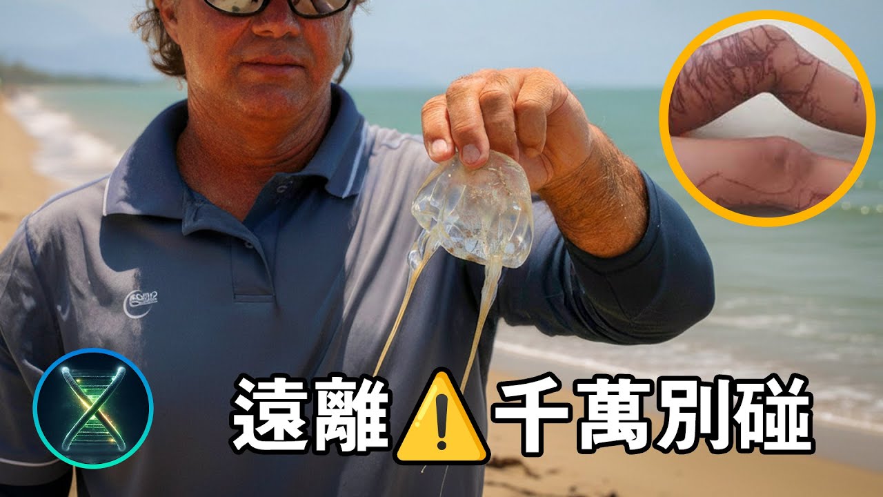 毒性TOP1 澳洲箱形水母&mdash;&mdash;3分钟內讓成年人的心臟停止跳動 #暗黑生物X檔案 #箱形水母 #致命生物 #深海異形 #進化論 #海洋恐懼症 #澳洲死神 #生化毒素 #自然奇觀 #科普