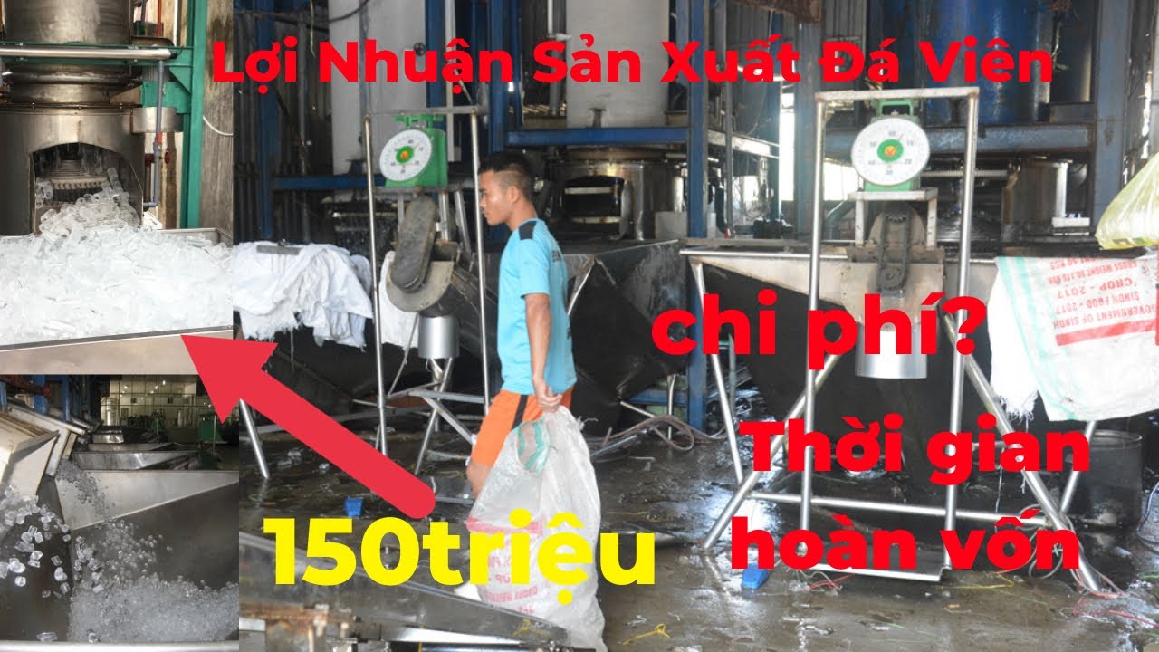 MỞ XƯỞNG SẢN XUẤT ĐÁ VIÊN, NƯỚC ĐÁ TINH KHIẾT CÓ LỜI KHÔNG - Lãi Khủng Biến Nước Thành Tiền #đáviên
