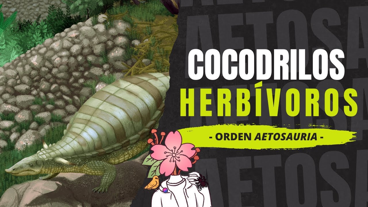 ¿Qué son los AETOSAURIOS? - Los cocodrilos vegetarianos acorazados del Triásico